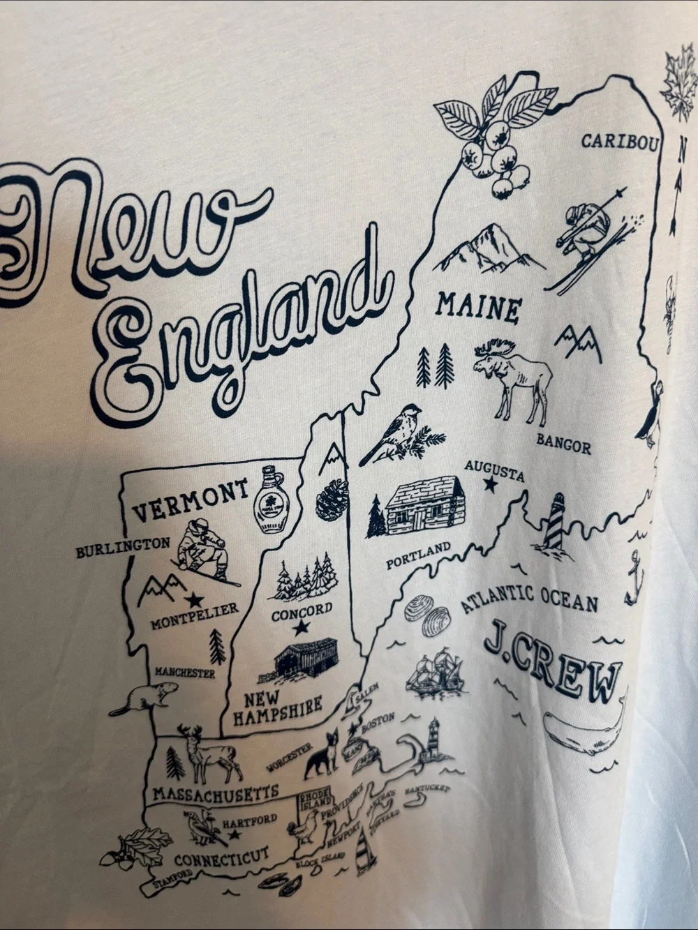 J. Crew Light Blue New England Map Graphic Tee